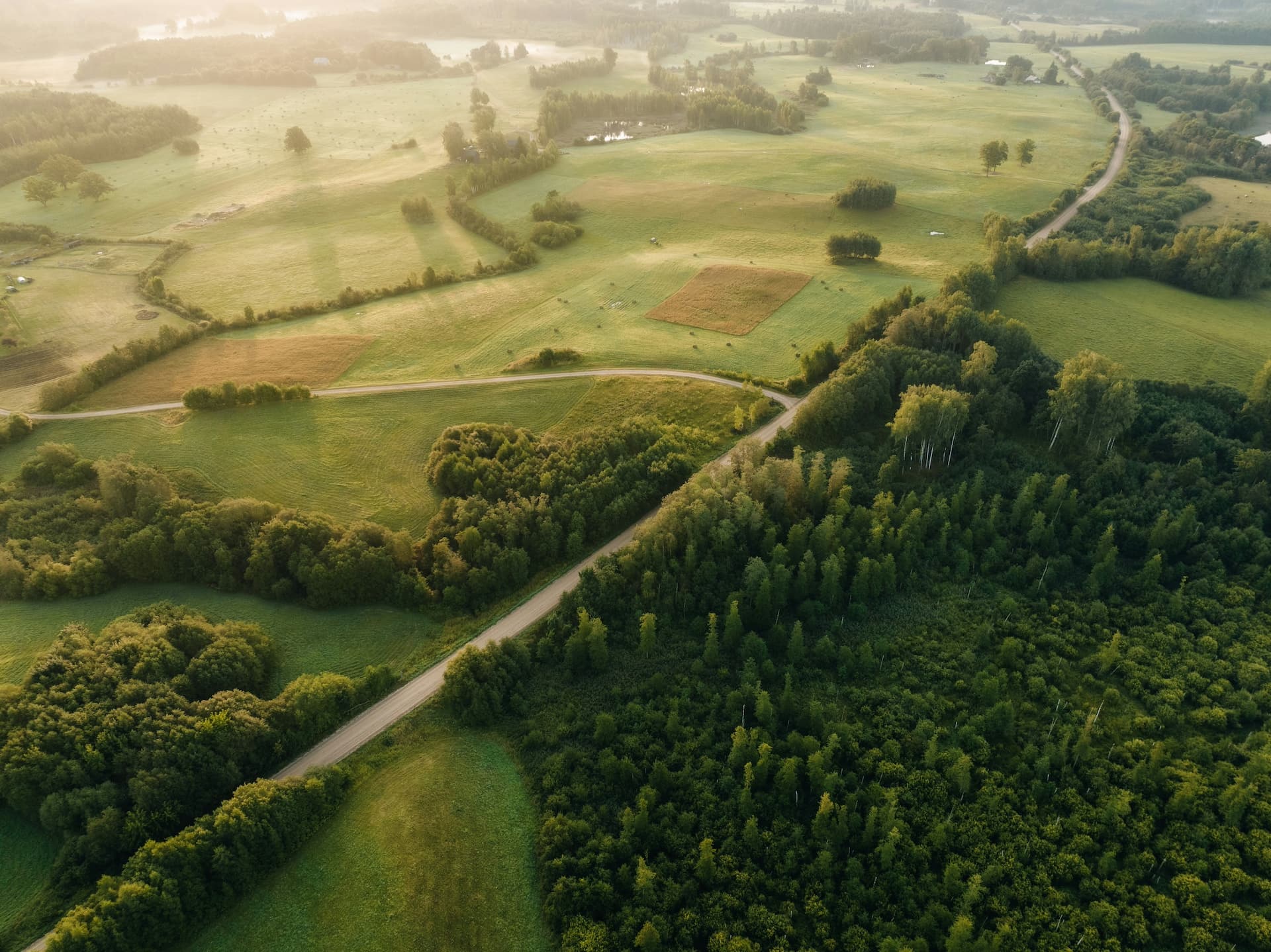 Biomasse-Landschaft aus der Vogelperspektive